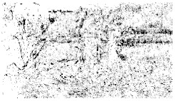 Figure 38