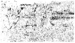 Figure 48