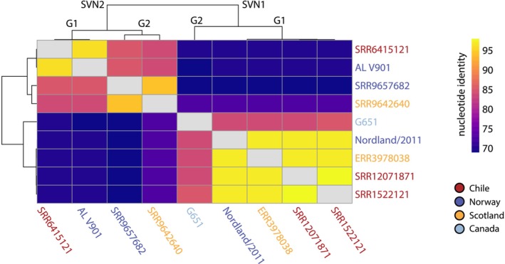 FIGURE 3