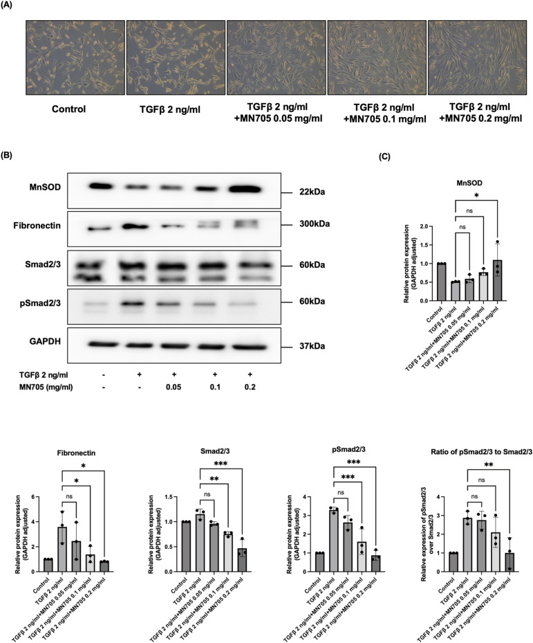 Fig 4