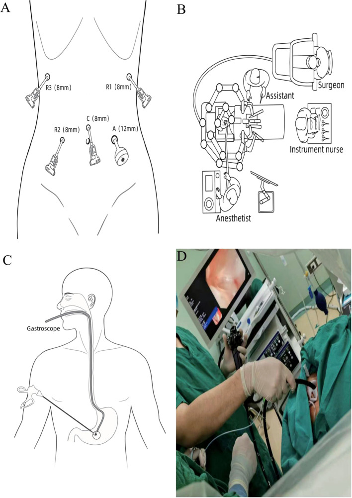 Figure 2