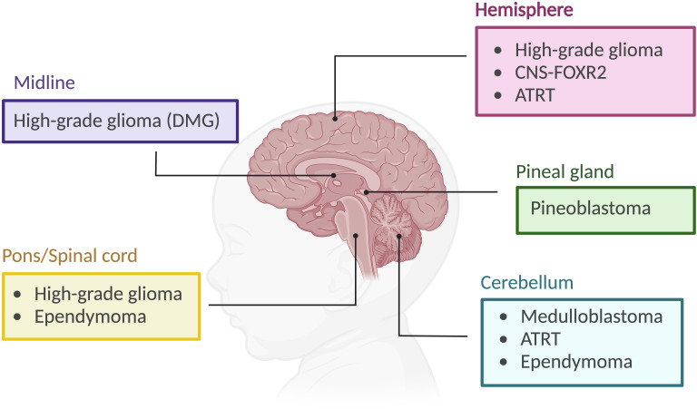 Figure 2