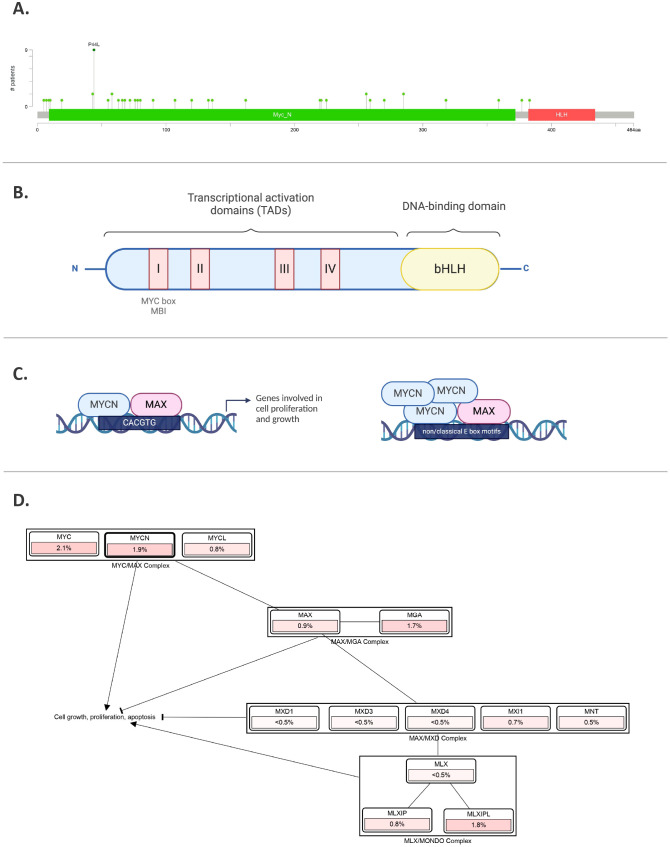 Figure 3