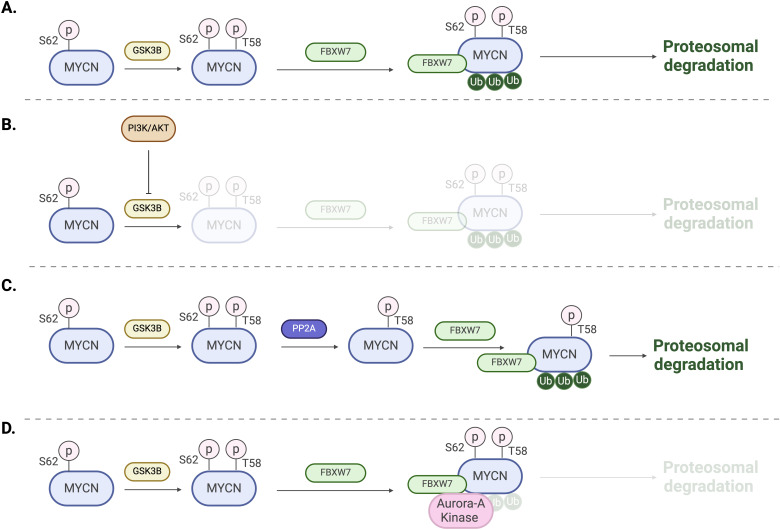 Figure 4