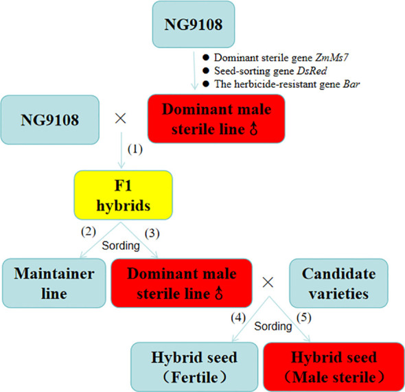 Figure 1