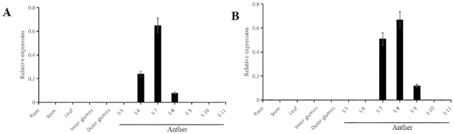 Figure 6