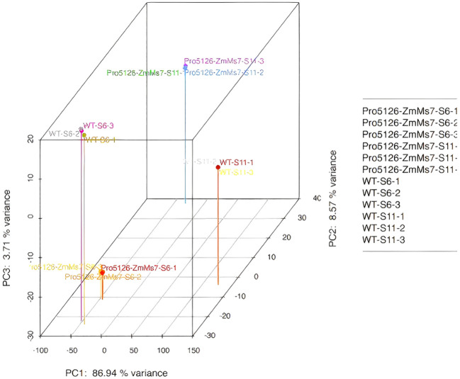 Figure 7