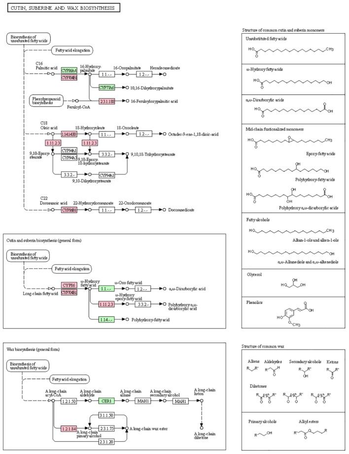 Figure 12