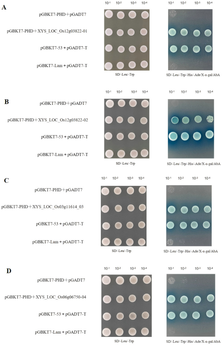Figure 13