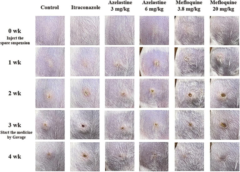 Figure 5