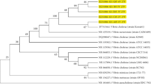 Figure 6