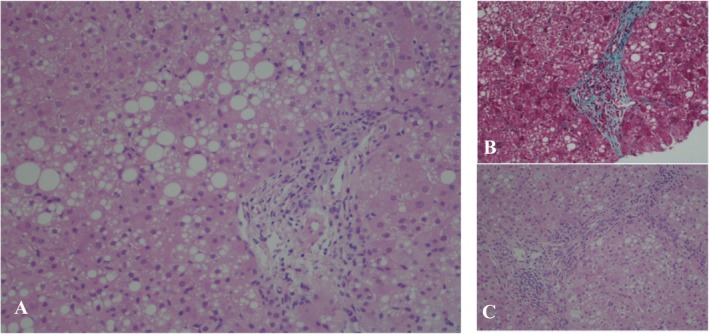 FIGURE 1