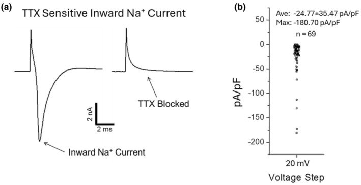 FIGURE 3