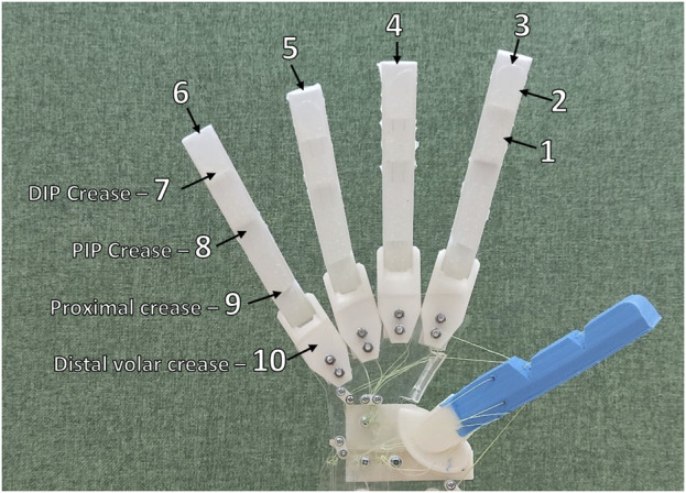 FIGURE 7