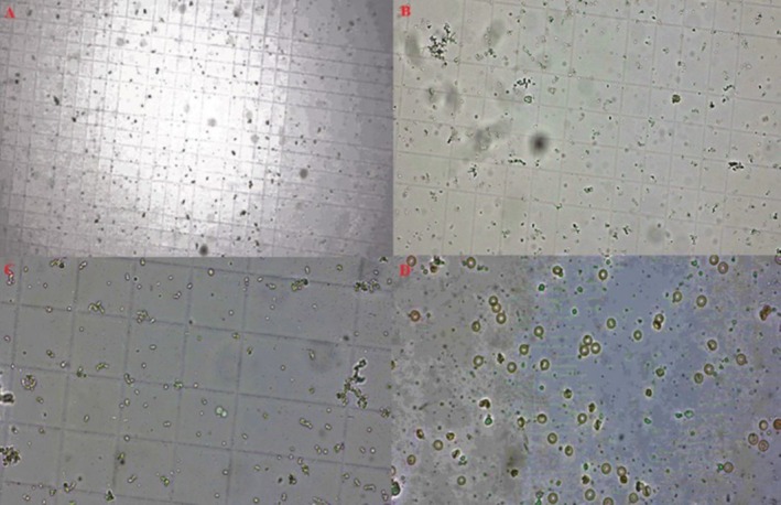 FIGURE 4