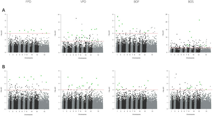 Figure 5