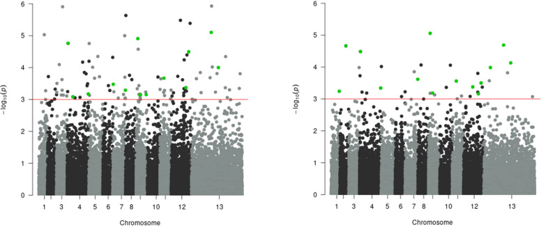 Figure 6
