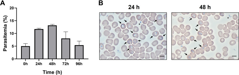 Fig 1