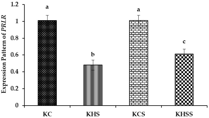 Figure 5