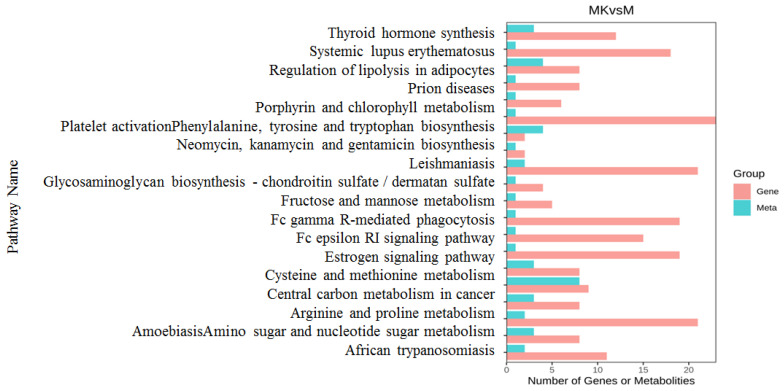 Figure 7