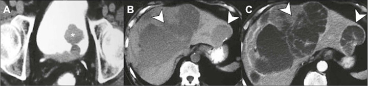 Figure 9