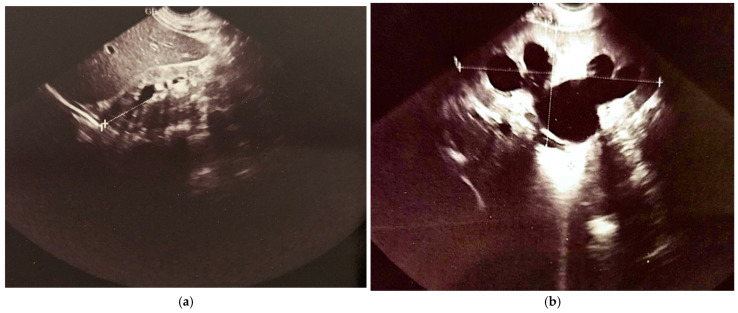 Figure 8