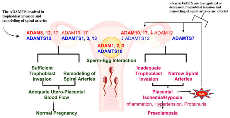 Figure 9
