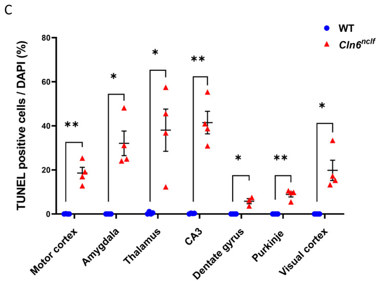 Figure 19