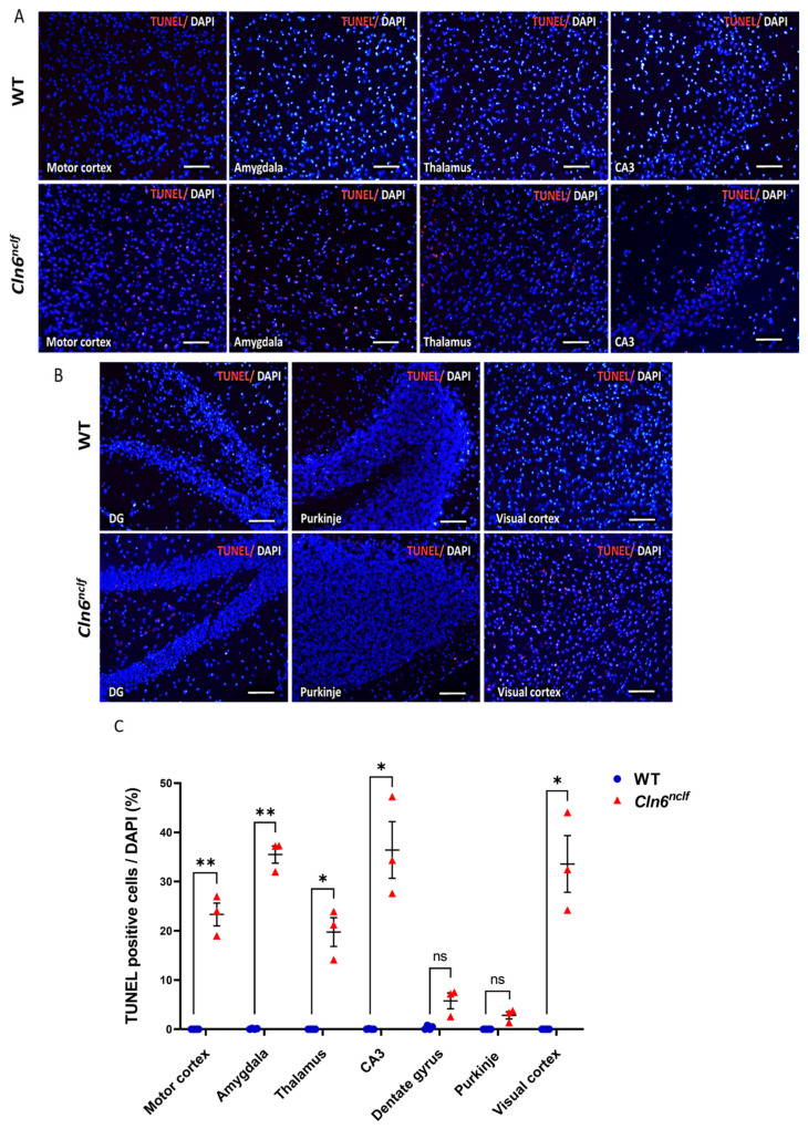 Figure 20