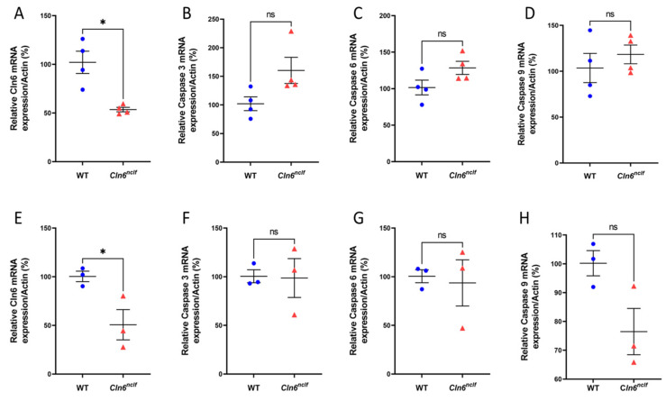 Figure 21