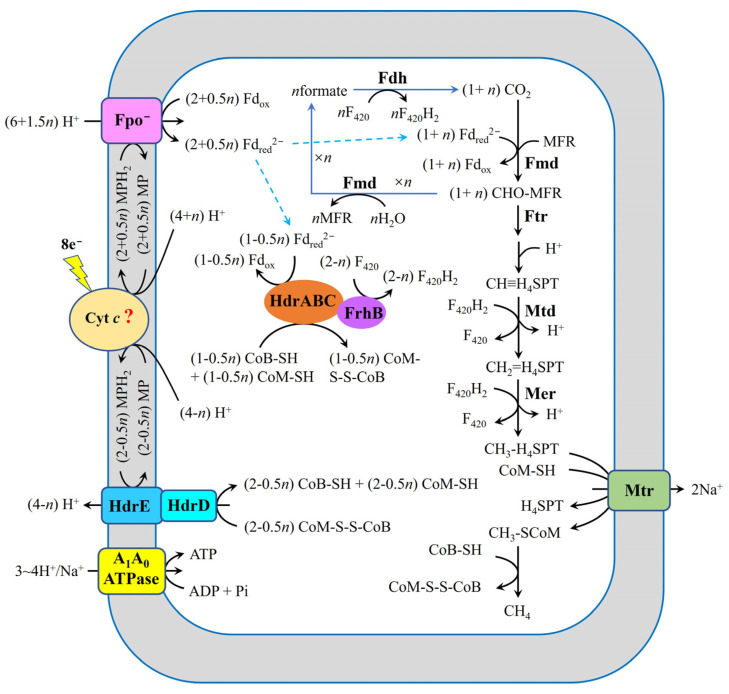 Figure 7