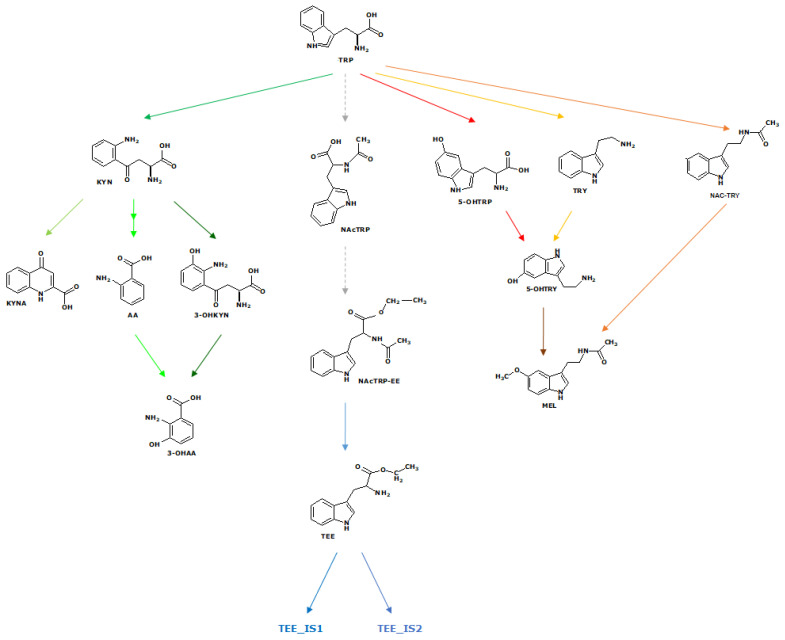 Figure 8