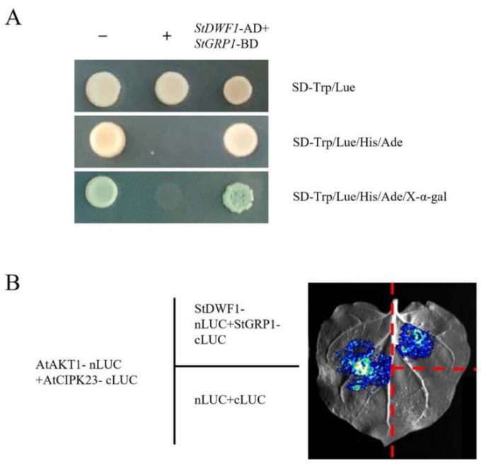 Figure 7