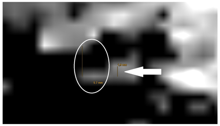 Figure 7