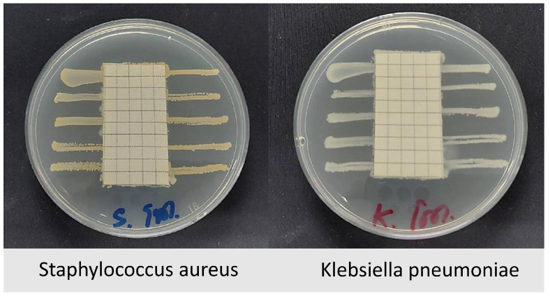 Figure 22