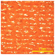 Figure 37