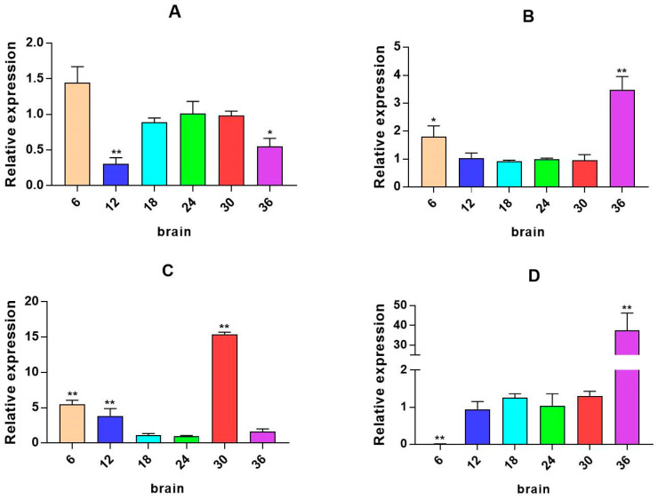 Figure 5