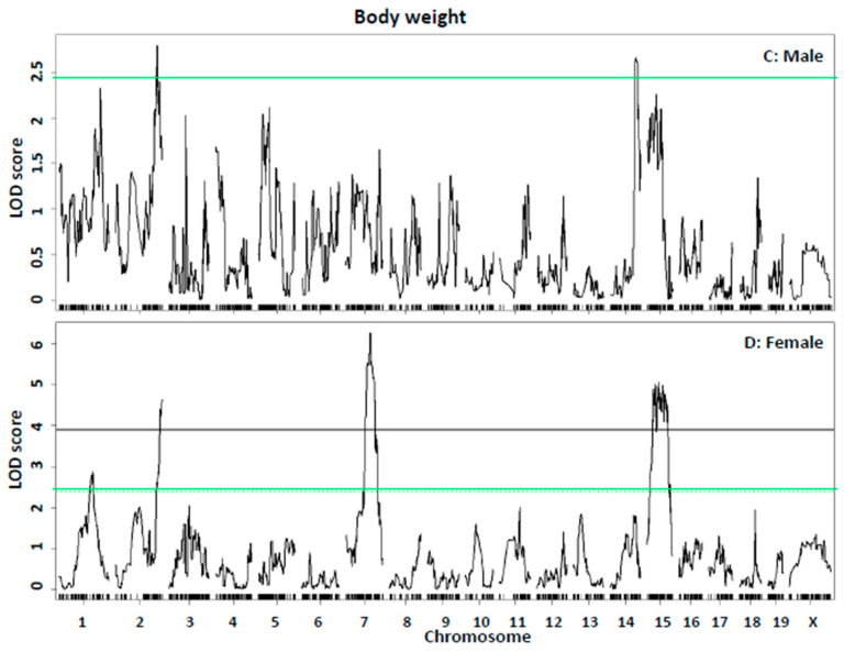 Figure 7