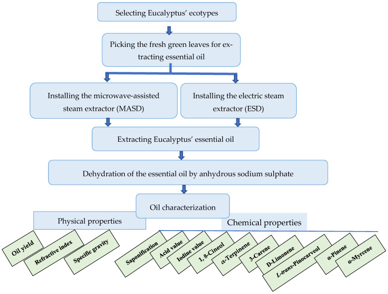 Figure 13