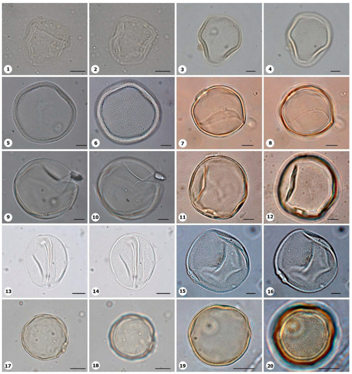Figure 8