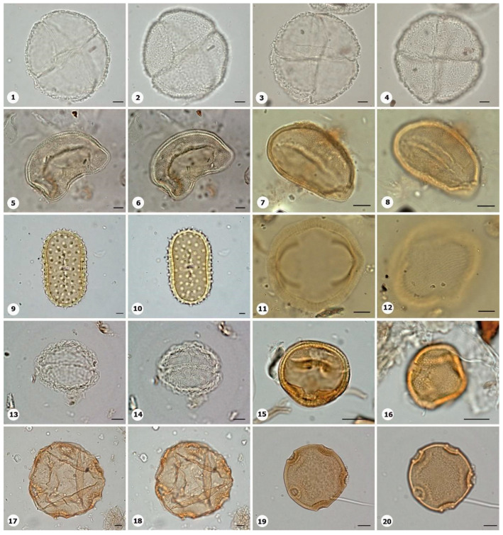 Figure 9