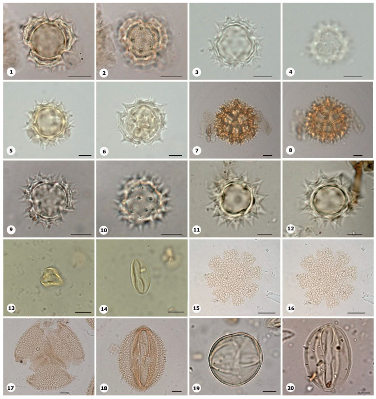 Figure 10
