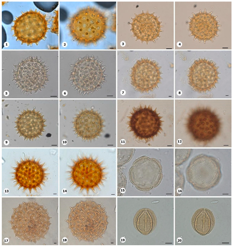 Figure 12