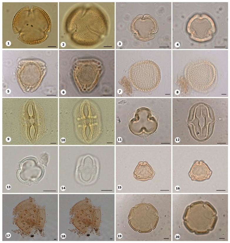 Figure 13
