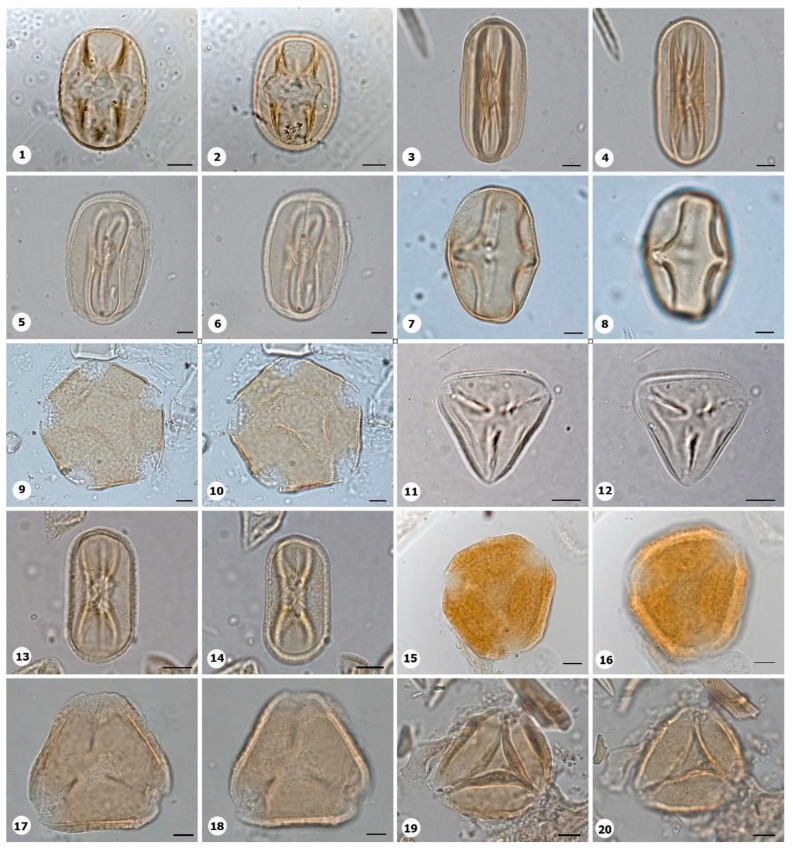 Figure 14