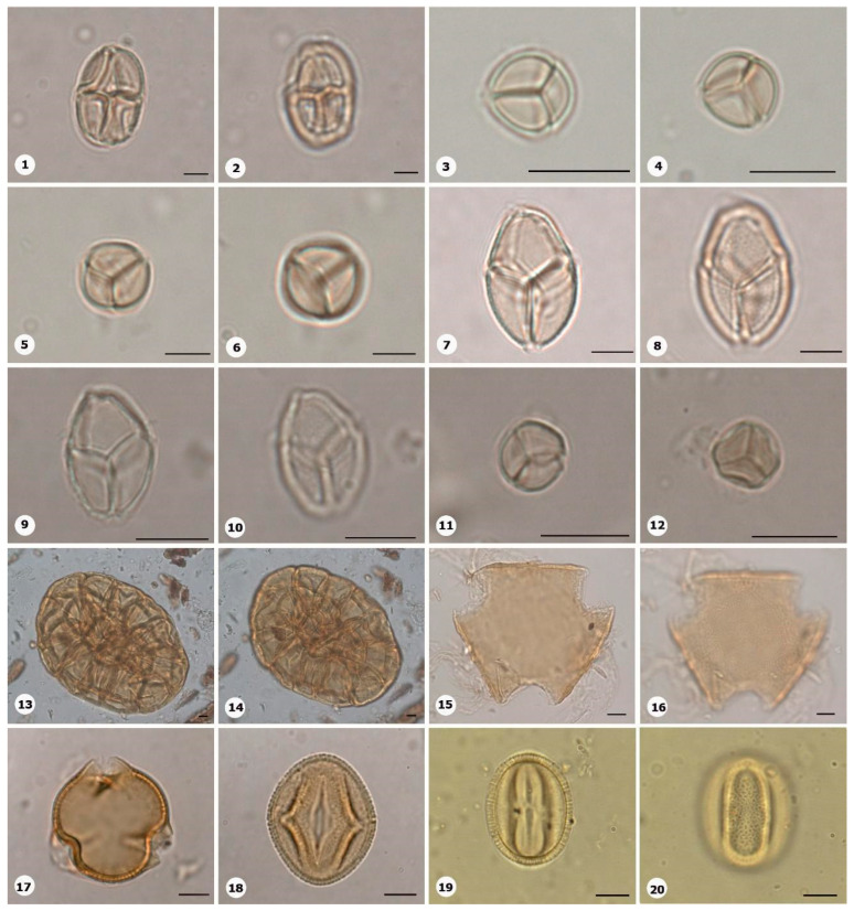Figure 15