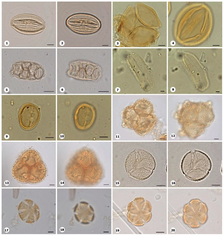 Figure 16