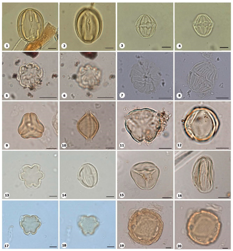 Figure 17