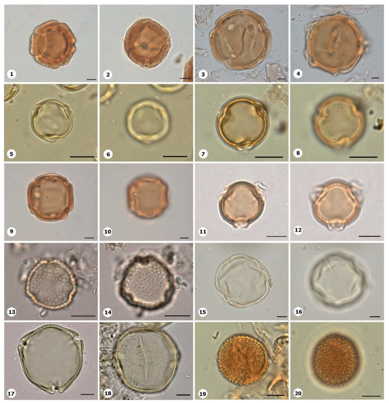 Figure 18