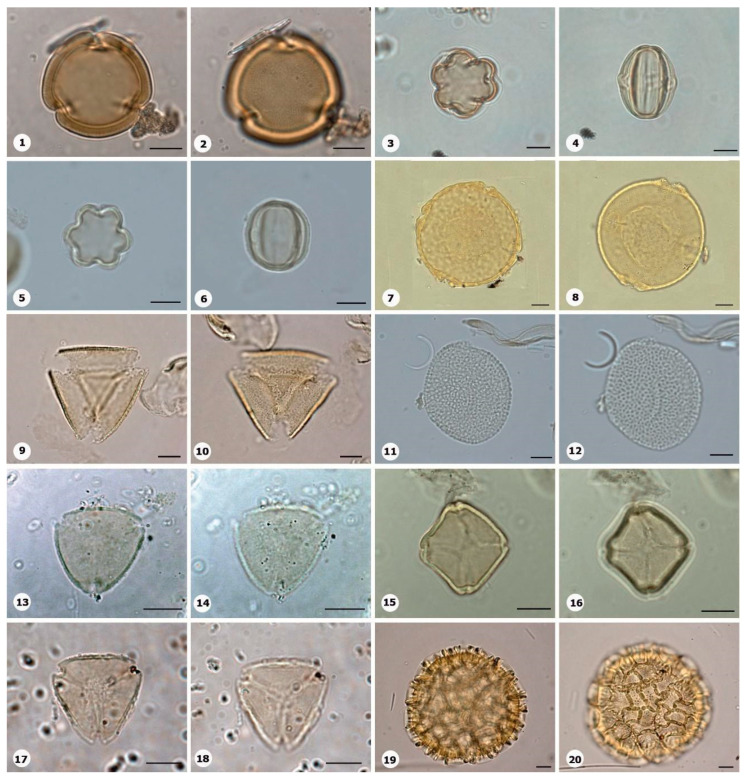 Figure 19